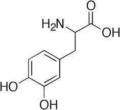 Hasil gambar untuk struktur alkaloid
